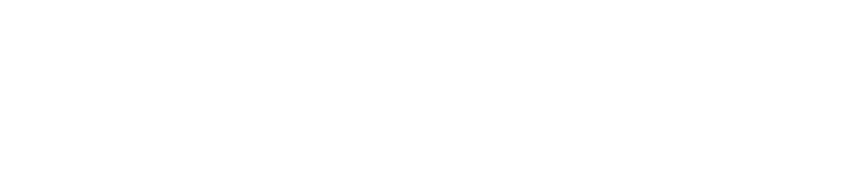 BESARWIN Logo